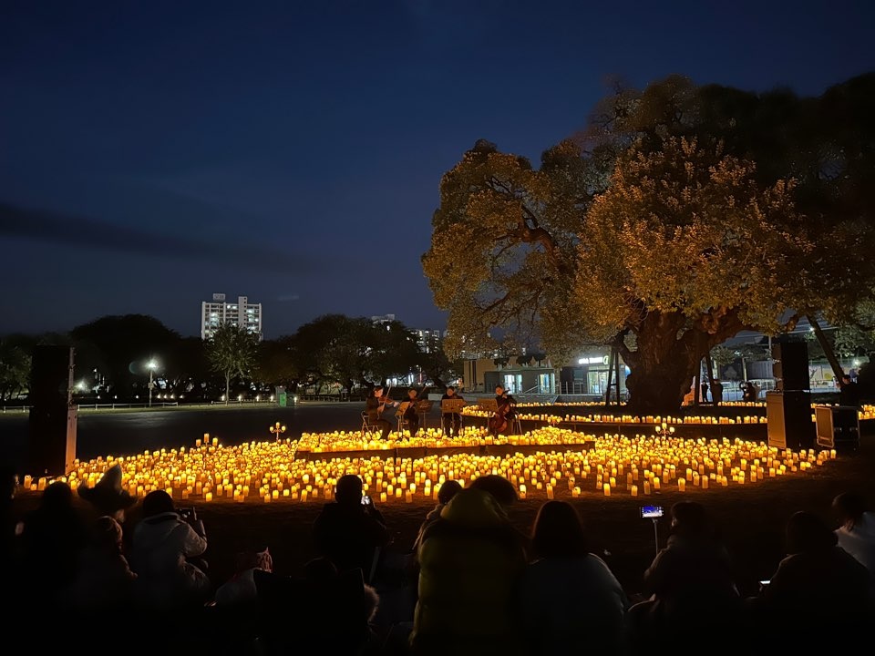 ▲사진=성밖숲 내 수천개의 LED 촛불과 함께 펼쳐진 야간 키즈 클래식 콘서트